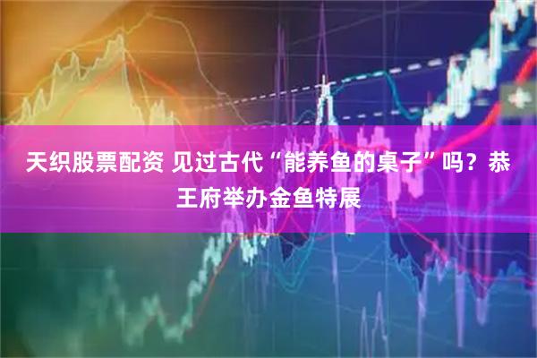 天织股票配资 见过古代“能养鱼的桌子”吗？恭王府举办金鱼特展