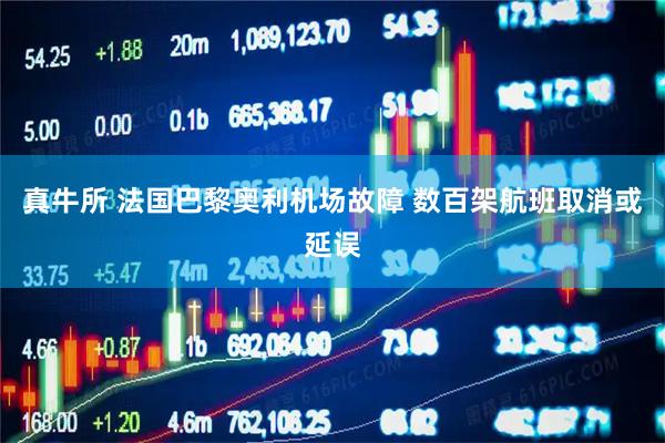 真牛所 法国巴黎奥利机场故障 数百架航班取消或延误