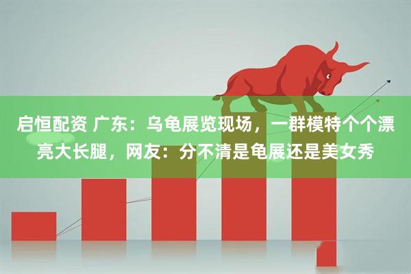 启恒配资 广东：乌龟展览现场，一群模特个个漂亮大长腿，网友：分不清是龟展还是美女秀