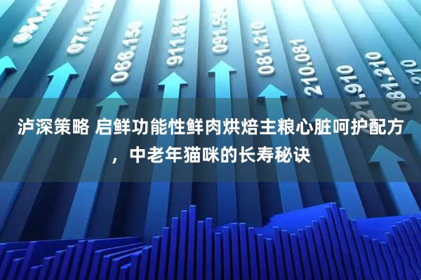 泸深策略 启鲜功能性鲜肉烘焙主粮心脏呵护配方，中老年猫咪的长寿秘诀