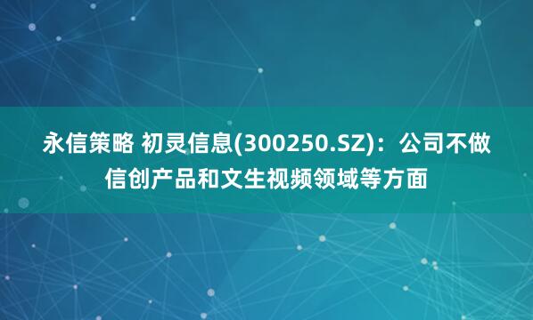 永信策略 初灵信息(300250.SZ)：公司不做信创产品和文生视频领域等方面