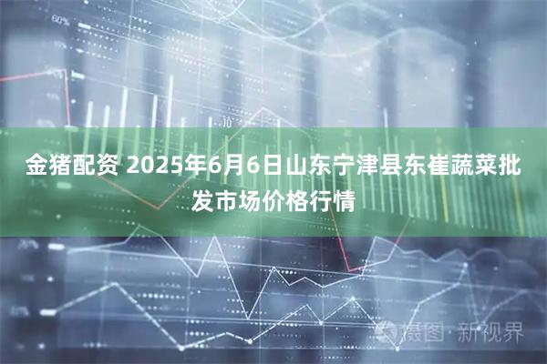 金猪配资 2025年6月6日山东宁津县东崔蔬菜批发市场价格行情