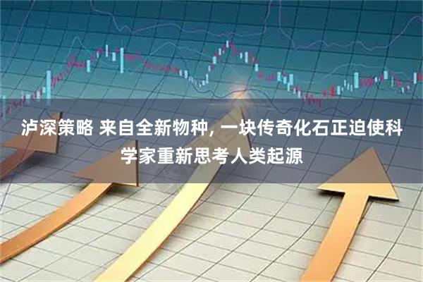 泸深策略 来自全新物种, 一块传奇化石正迫使科学家重新思考人类起源
