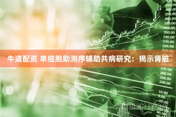 牛道配资 单细胞助测序辅助共病研究：揭示肾脏